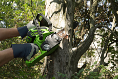 Аккумуляторная цепная пила Greenworks G40CS30 - обзор