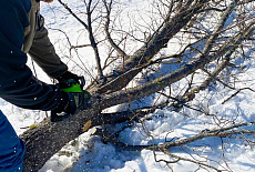 Аккумуляторная пила Greenworks GD60CS40 - обзор