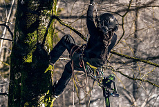 Поступили на склад одноручные цепные пилы Greenworks GD40TCS